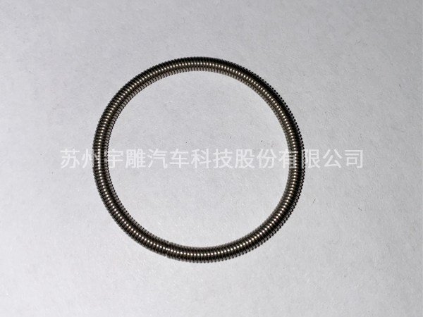 Seal ring spring