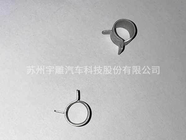 Pipe clip spring