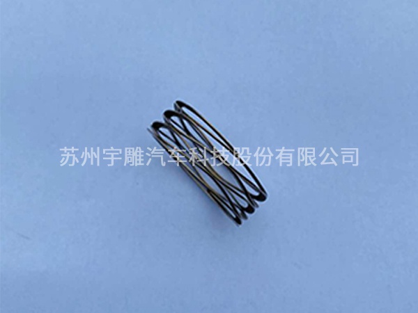 Special-shaped spring